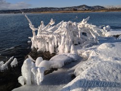 Primorye201919