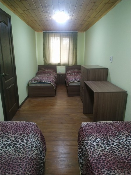 Primorye20208